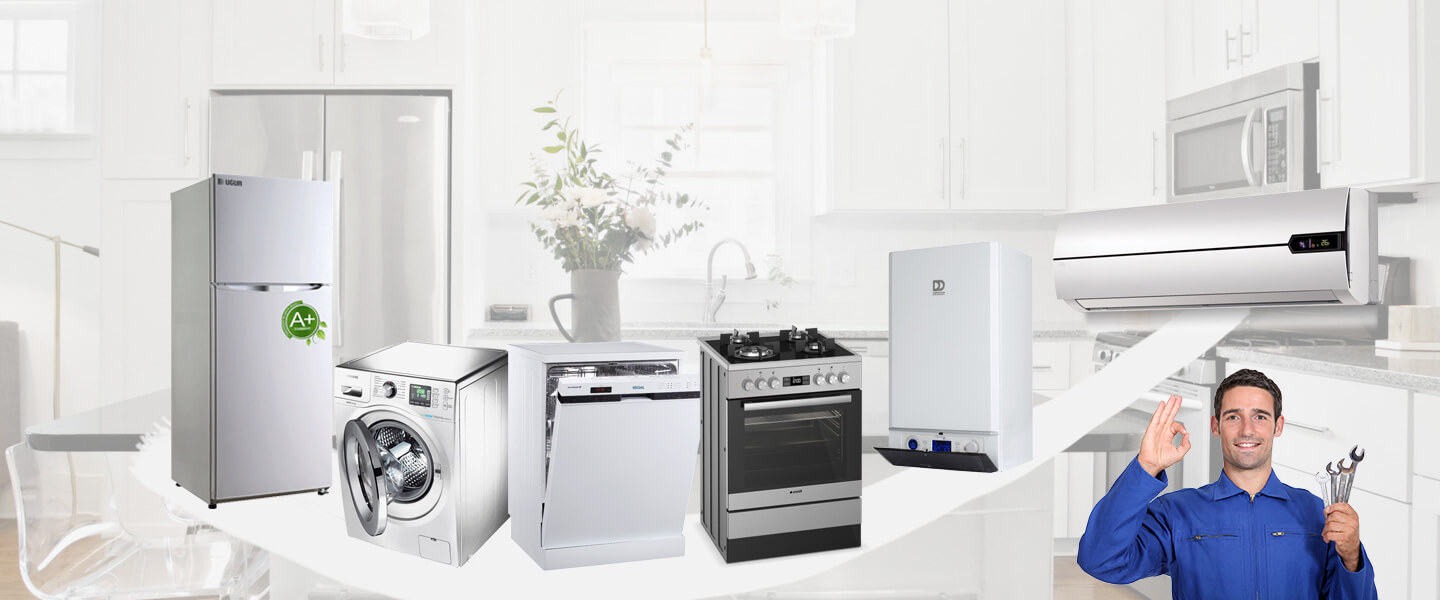 İnebolu Dominox Servisi